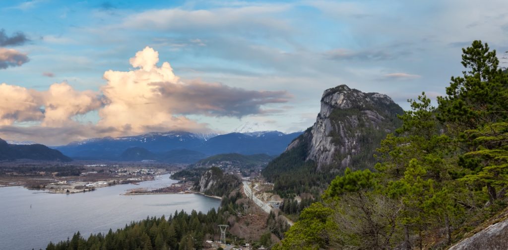The Importance of Marine Conservation in BC