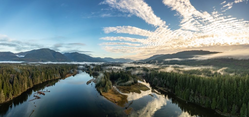 How BC’s Tech Founders Are Changing Artificial Intelligence