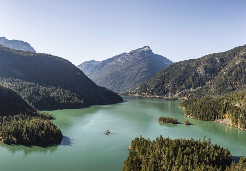 The Wildlife of British Columbia: What to See and Where
